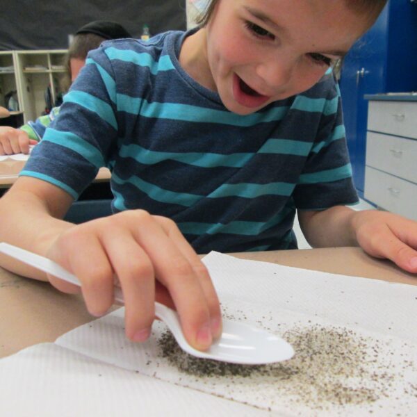 Static Electricity in Parashas Kedoshim