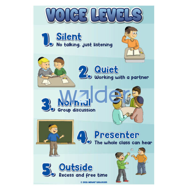 Student Voice Level Chart (Boys)