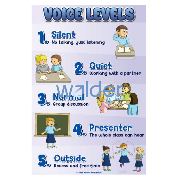 Student Voice Level Chart (Girls)