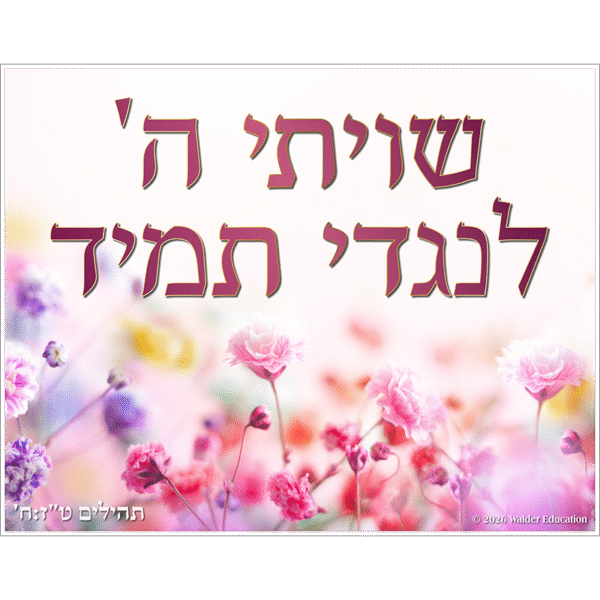 Shivisi Poster: Flower Theme
