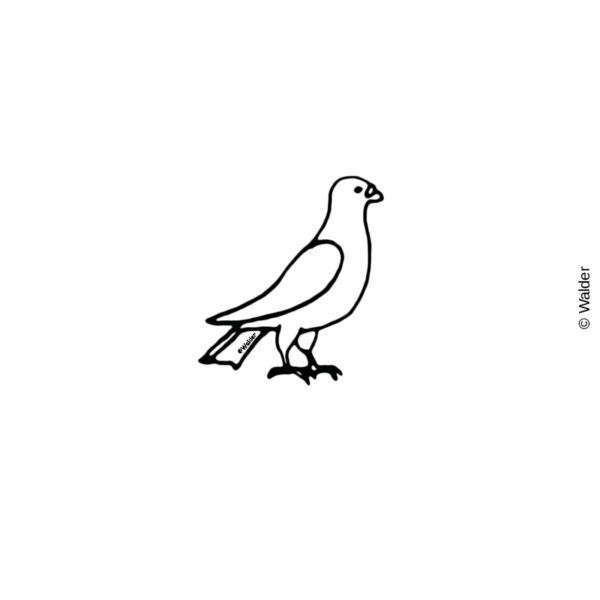 Bird: Dove