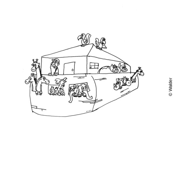 Noach's Ark
