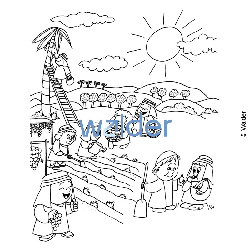 Harvesting Fruits - Walder Education