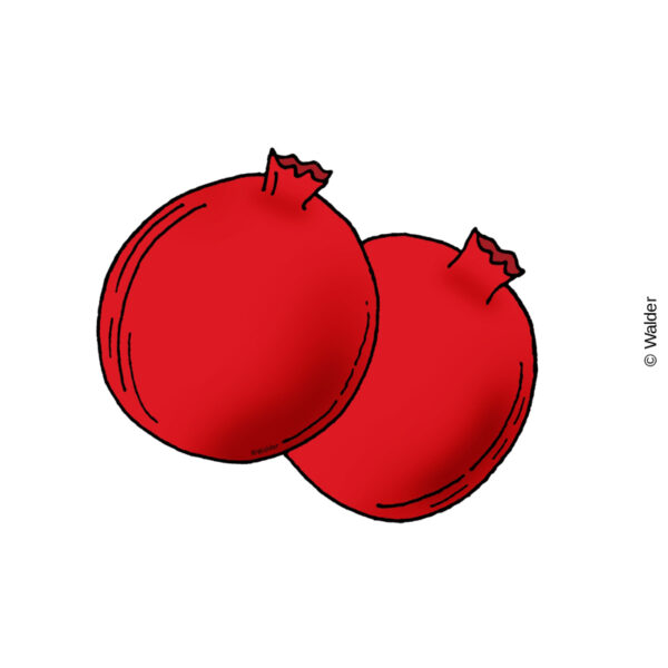 Pomegranate