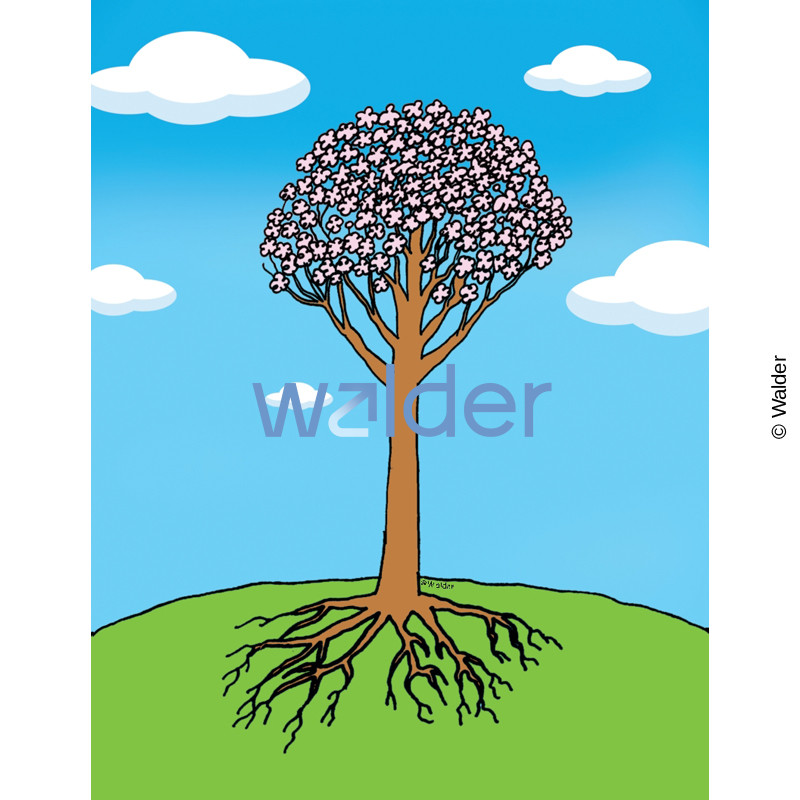 Spring Tree with Roots - Walder Education