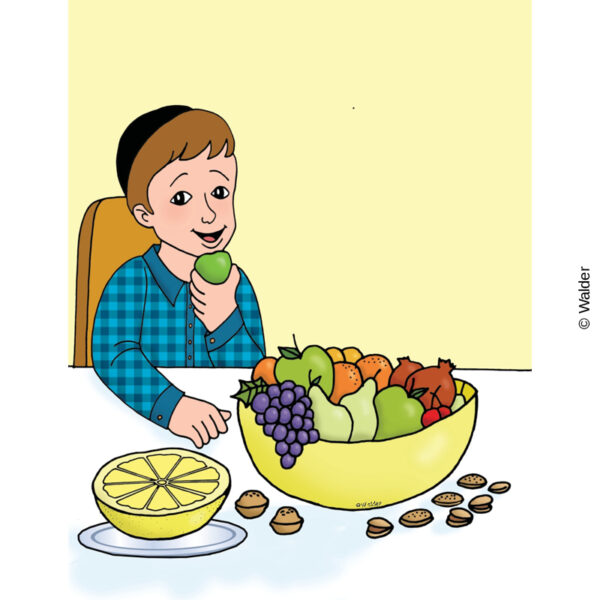 Blessings on Food: Borei Peri Haeitz