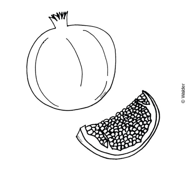 Pomegranate