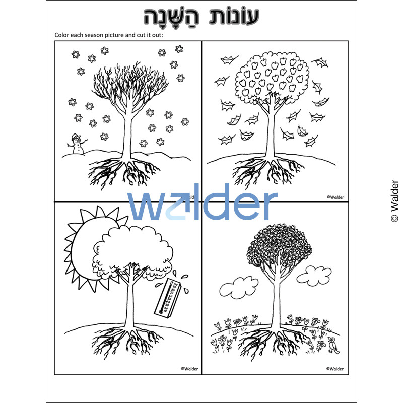 Four Seasons Trees - Walder Education