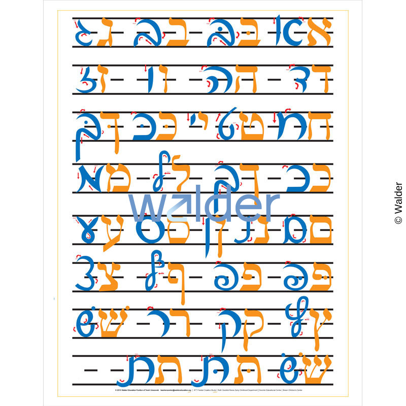 How to Write in Script - Walder Education