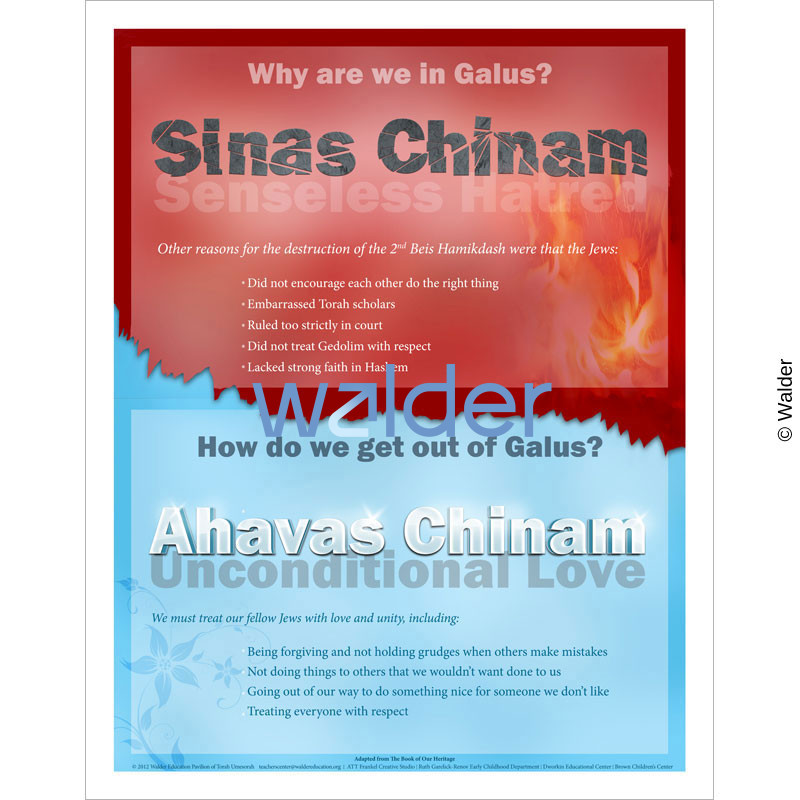 Sinas Chinam And Ahavas Chinam Walder Education