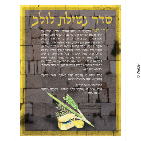 Seder Netilas Lulav