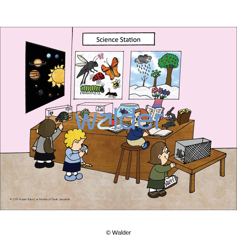 Classroom Scene: Science Station - Walder Education
